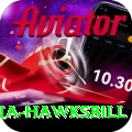 antigua hawksbill Max Pro v1.5.9