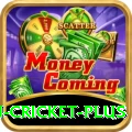 australian cricket Cash Prime