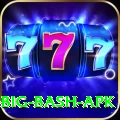bbl big bash apk VIP Pro v1.3.2