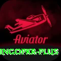 bingopkr Plus Edition v5.3.2