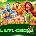 bpl live cricket VIP v4.3.5