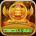 cricket bat VIP Pro v3.9.1