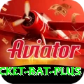 cricket bat Game VIP v2.4.8