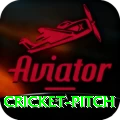 cricket pitch Premium Edition v4.6.5