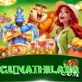 danushka gunathilaka Plus v1.4.0