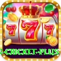fastest ball in cricket Pro 2024