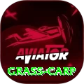 grass carp Apps (Tools & Injectors) VIP v2.8.9