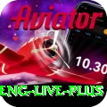 ind eng live - Mega v4.0.5