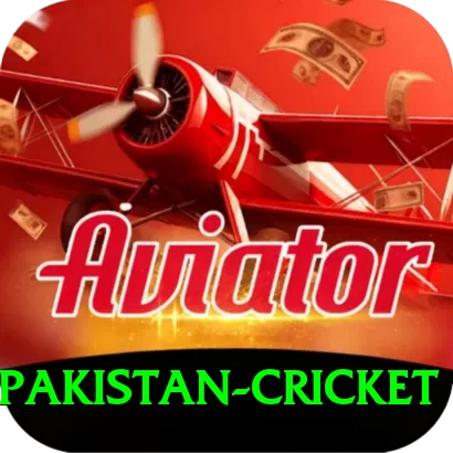 india pakistan cricket Pro v1.3.5 - 2