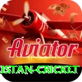 india pakistan cricket Pro v1.3.5