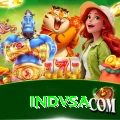 indvsa Plus v3.5.1
