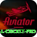 international cricket Pakistan Elite v2.2.3