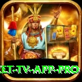 live cricket tv app - VIP Earning App