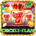 new zealand cricket team Premium Edition v1.5.5