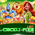 one cricket Slot Machine King
