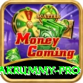 pakrummy Casino Official v4.4.1