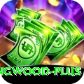 paul collingwood Pakistan Legend v1.4.4