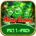 pk11 - Pro Edition v3.3.4