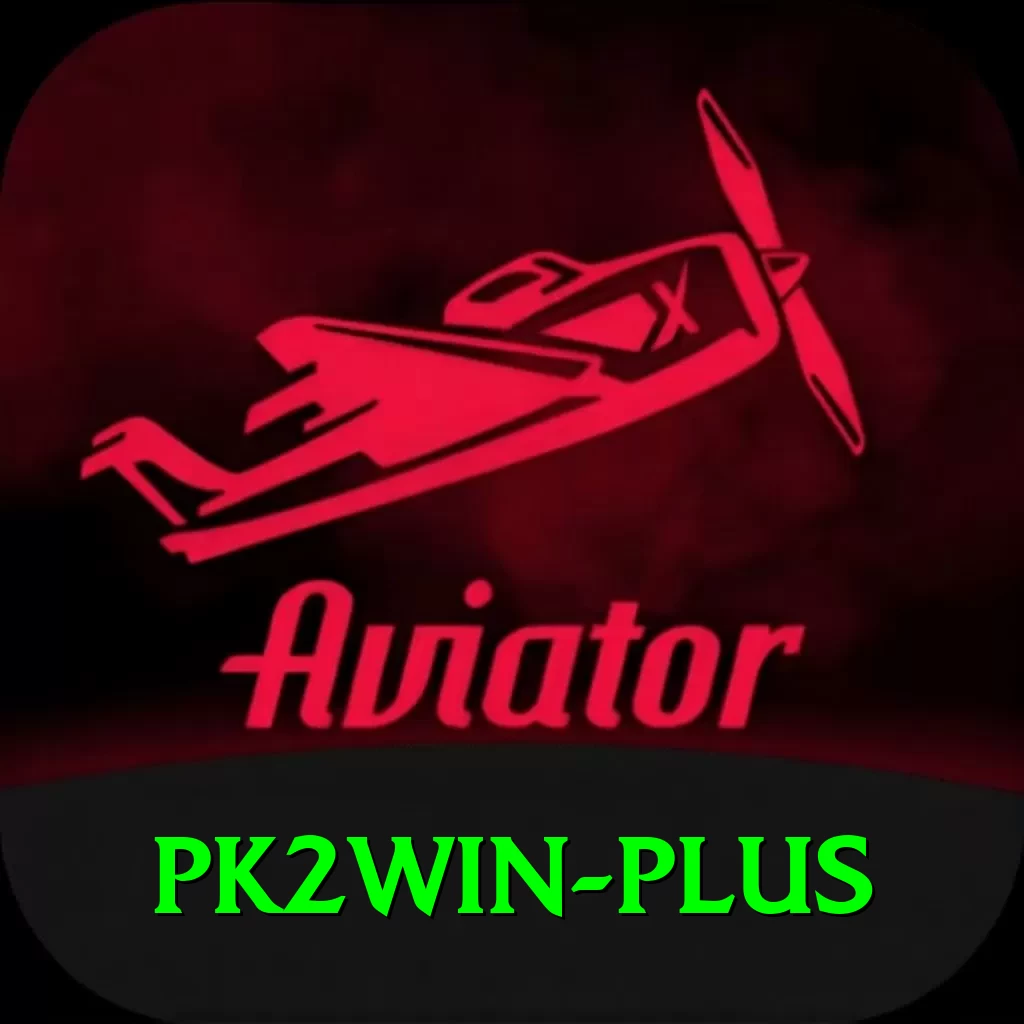 pk2win Deluxe v5.1.4 - 2