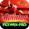 pk2win Pro New
