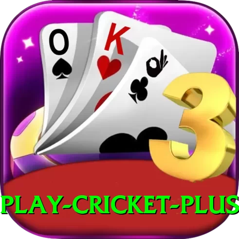 play cricket - King v3.1.0 - 2