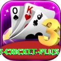 play cricket - King v3.1.0