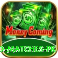 rain affected matches pk Pro Edition v2.8.0