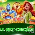risk free bet cricket Games (Casino & Earning) Plus v2.3.1