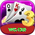 wc t20 Apps (Tools & Injectors) Premium v2.4.1