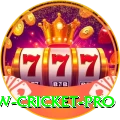willow cricket Game Champion v2.2.7